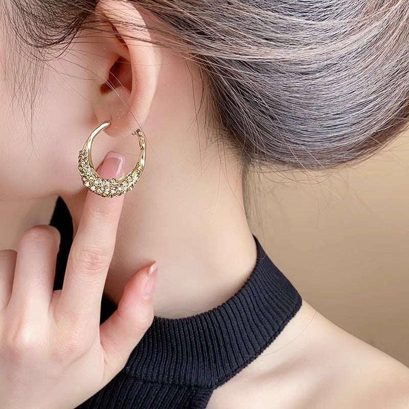 Minority Fashion Delicate Earrings Personality Ornament