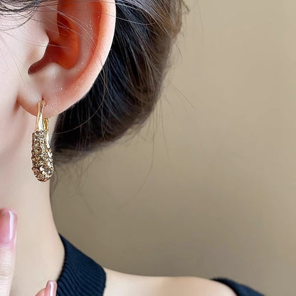 Minority Fashion Delicate Earrings Personality Ornament