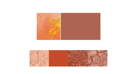 NOVO Eyeshadow Palette Louisiana Mart