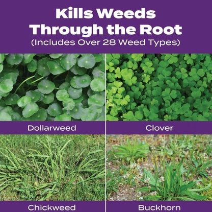 Scotts Turf Builder Southern Weed & Feed 29-0-10 5,000 sq ft