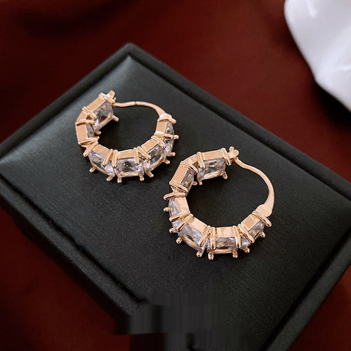 Zircon Micro-inlaid U-shaped Earrings